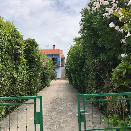 Appartement Cvita Gruen - A45619 Zadar