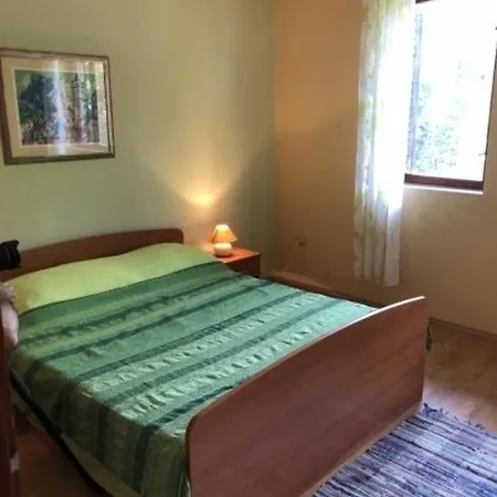 Cvita Gruen - A45619 Appartement Zadar